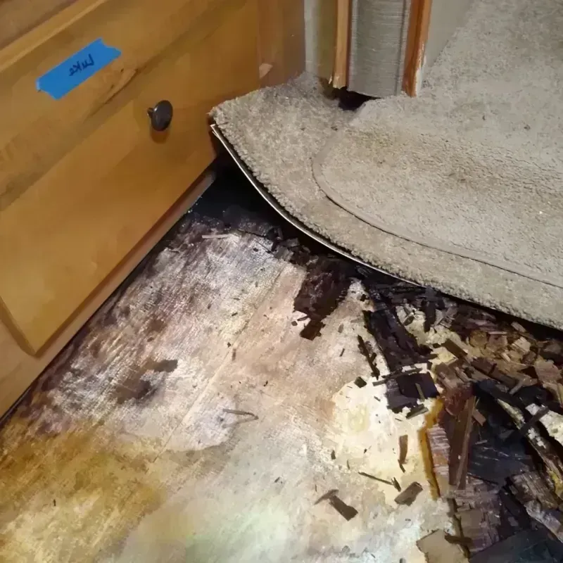 Wood Floor Water Damage in Winter Springs, FL